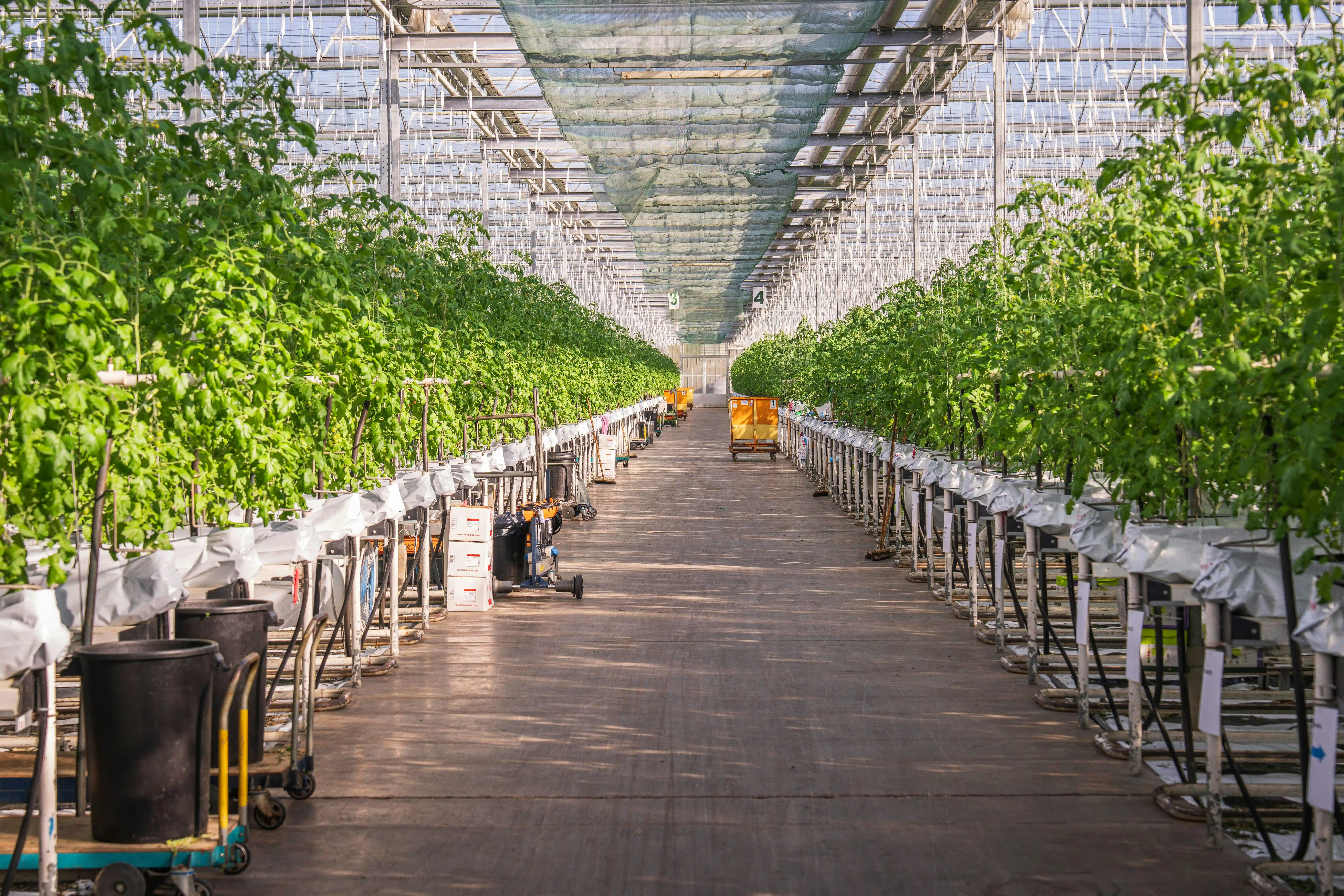 General Agricultural Supply